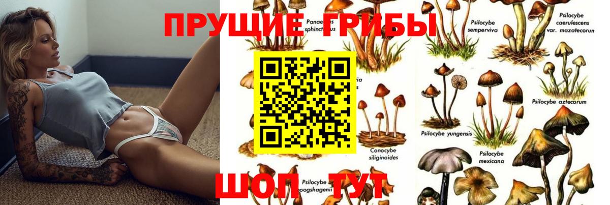 дарнет шоп  Псилоцибиновые грибы Magic Shrooms  Псилоцибиновые грибы мухоморы  Вход с VPN  Ухта 